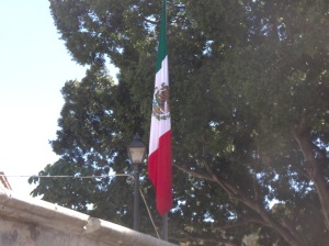 the Mexican flag
